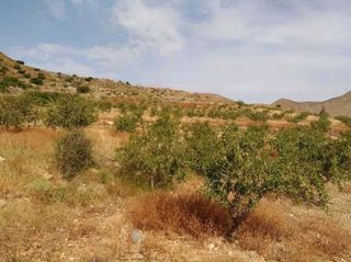 Terreno en venta en La Union Pueblo en Unión (La)