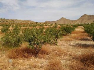 Terreno en venta en La Union Pueblo en Unión (La)