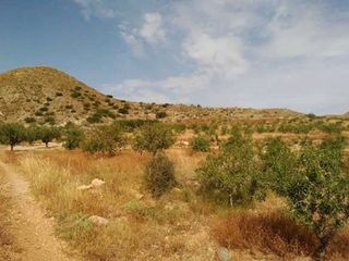 Terreno en venta en La Union Pueblo en Unión (La)