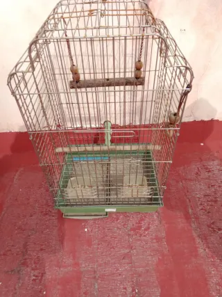 Jaula para loro