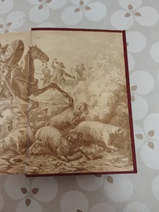 Libro Don Quijote de la Mancha