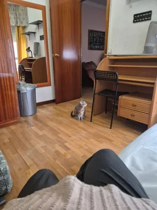 Alquilar habitación a una mujer