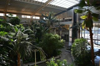 Oficina en alquiler en Cortadura - Zona Franca  en Cádiz