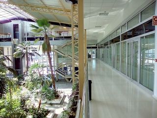 Oficina en alquiler en Cortadura - Zona Franca  en Cádiz