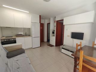 Piso en alquiler en Zona Playa Morro de Gos en Oropesa del Mar/Orpesa