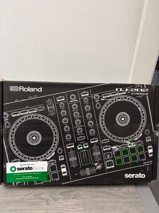 Roland DJ-202 Controlador DJ Compacto