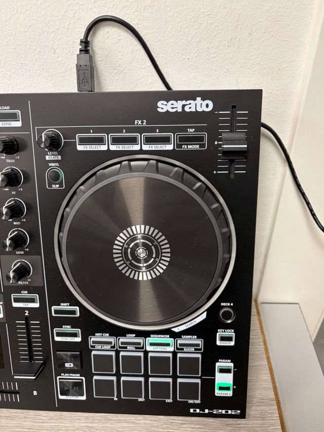 Roland DJ-202 Controlador DJ Compacto