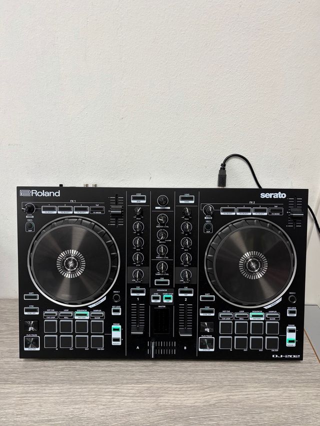 Roland DJ-202 Controlador DJ Compacto