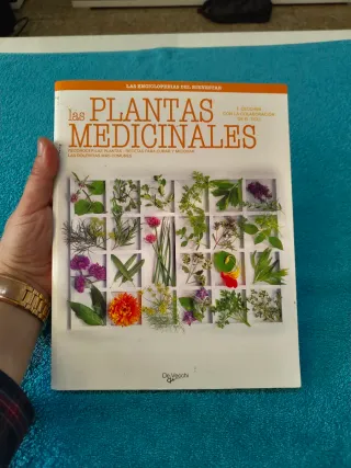 Las plantas medicinales (Salud) (Spanish Edition)