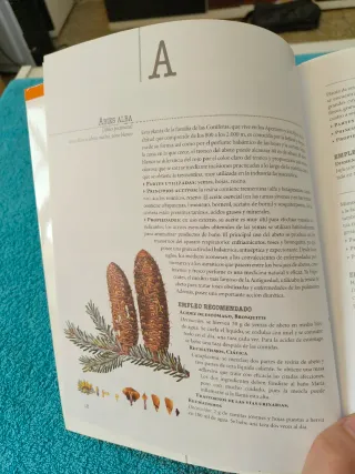 Las plantas medicinales (Salud) (Spanish Edition)