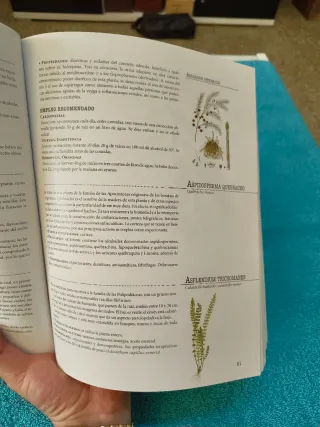 Las plantas medicinales (Salud) (Spanish Edition)