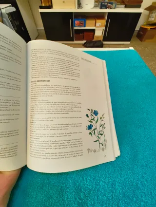 Las plantas medicinales (Salud) (Spanish Edition)