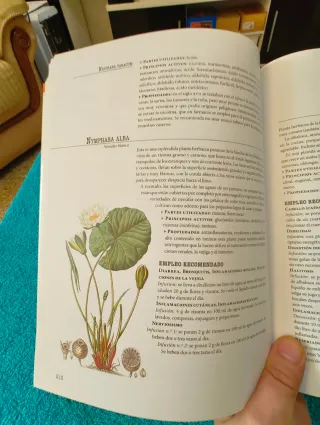 Las plantas medicinales (Salud) (Spanish Edition)