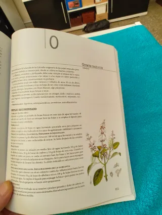 Las plantas medicinales (Salud) (Spanish Edition)