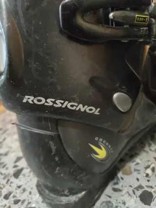 Bota de esquí Rossignol