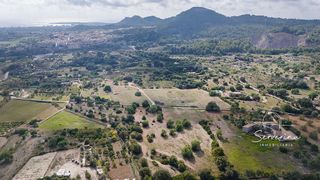 Solar en venta en Son Servera