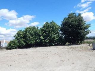 Terreno en venta en Zona de la Vega en Antequera