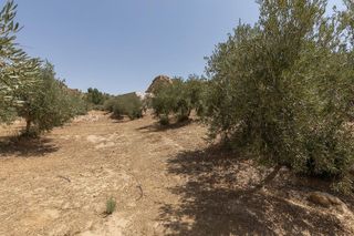 Terreno en venta en Guadix