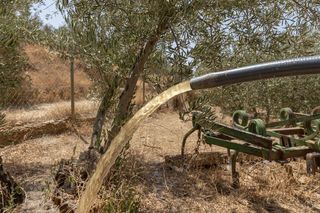 Terreno en venta en Guadix