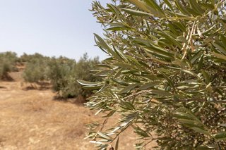 Terreno en venta en Guadix
