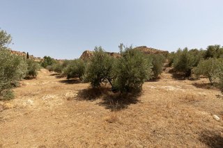 Terreno en venta en Guadix