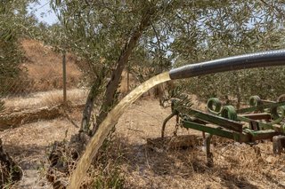 Terreno en venta en Guadix