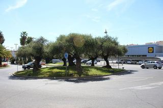 Local comercial en venta en Nueva Alcalá en Alcalá de Guadaira