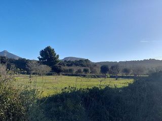 Solar en venta en Ciutat d'Alcúdia en Alcúdia