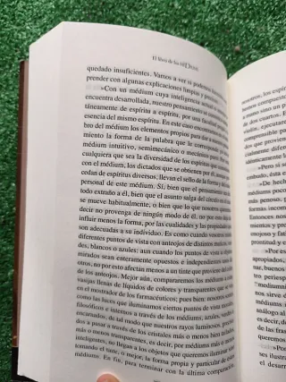 LIBRO DE LOS MEDIUMS (Spanish Edition)