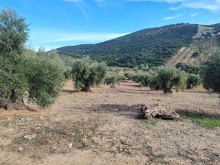 Nave industrial en venta en Puerto Serrano