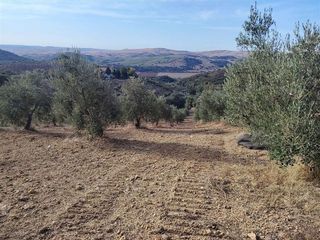 Nave industrial en venta en Puerto Serrano