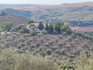 Nave industrial en venta en Puerto Serrano