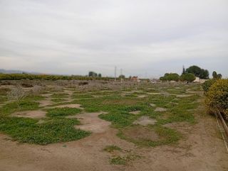 Terreno en venta en Librilla