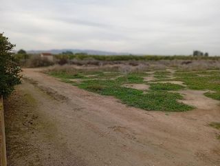 Terreno en venta en Librilla