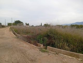 Terreno en venta en Librilla