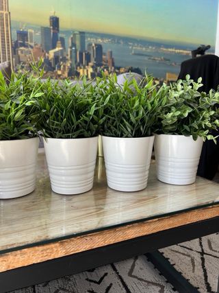 Set de 6 plantas artificiales decorativas