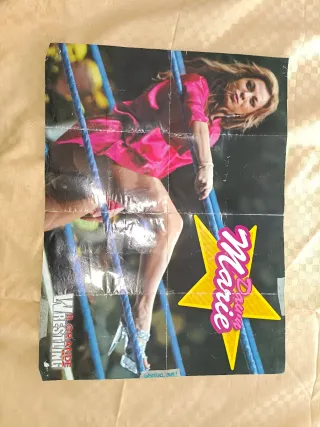 Poster Smackdown Anni 2000