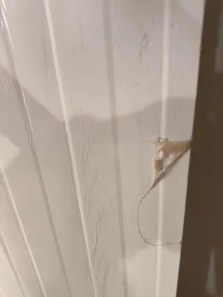 Chapa Sandwich Panel. 5 chapas