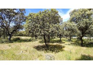 Terreno en venta en Raya del Palancar - Guadamonte en Villanueva de la Cañada