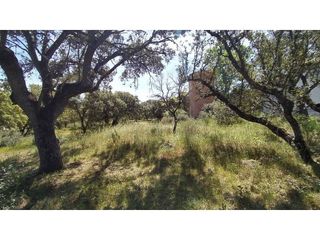 Terreno en venta en Raya del Palancar - Guadamonte en Villanueva de la Cañada