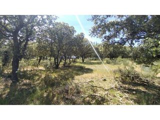 Terreno en venta en Raya del Palancar - Guadamonte en Villanueva de la Cañada