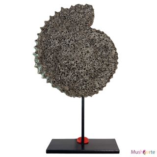 Réplica Amonita mediana de color Gris en Resina