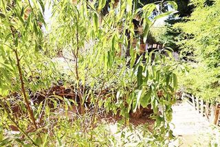 Chalet en venta en Collado Mediano