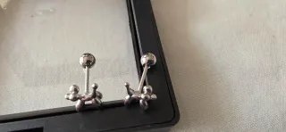 Pendientes perro globos plata