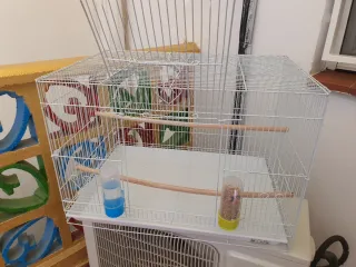 Jaula para ninfas/carolinas