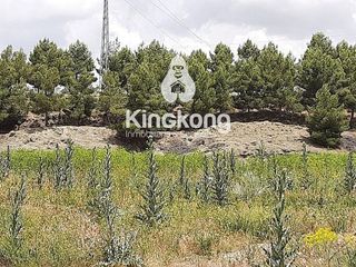 Terreno en venta en Loeches