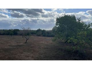 Terreno en venta en Santanyí