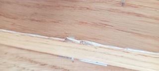 Mesa de comedor Habitat