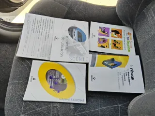 Renault escenis 2000