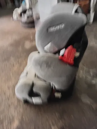 Silla de coche RECARO Young Sport